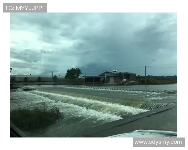 德约专访（二）：我的强壮心思源自战役，从失利中生长比成功更重要
